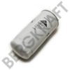 BERGKRAFT BK8600695 Fuel filter